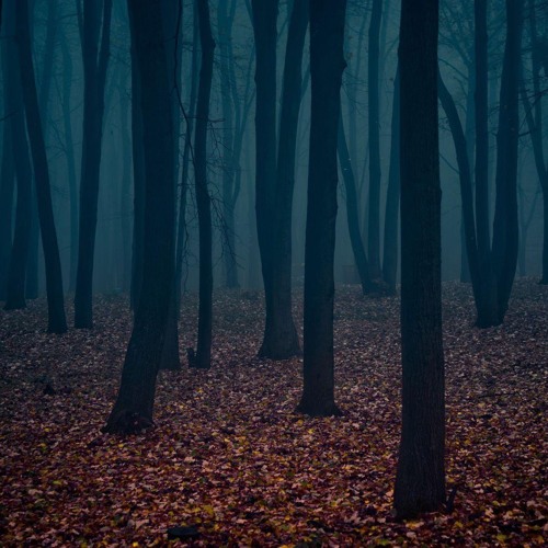 Among the Missing