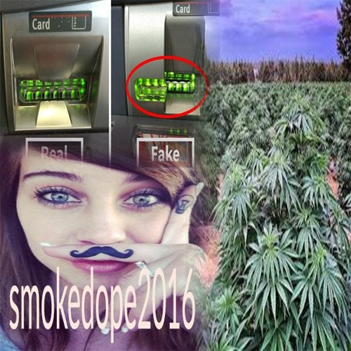 SMOKEDOPE SPAZZO [prod. TWILLS]