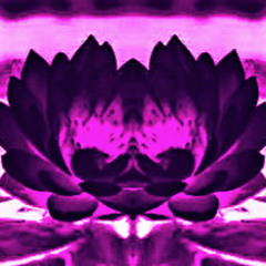 Drake - Not You Too (panotune remix)