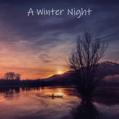 A Winter Night