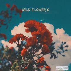 Wild Flower 6