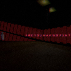 ARE YOU HAVING FUN ?