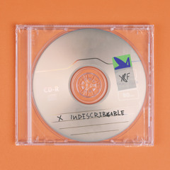 Indescribable (Live)