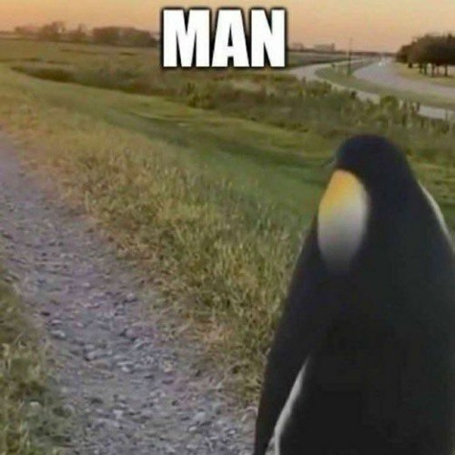 penguin dub