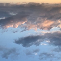 Schubert Arpeggione Sonata - II/III