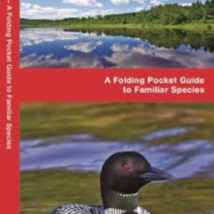 [Free] EPUB 📒 Minnesota Birds: A Folding Pocket Guide to Familiar Species (Wildlife