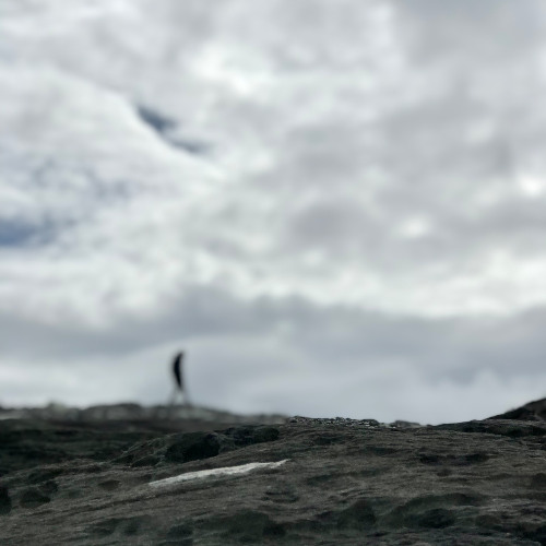 Calibre Ambient Mix June 25