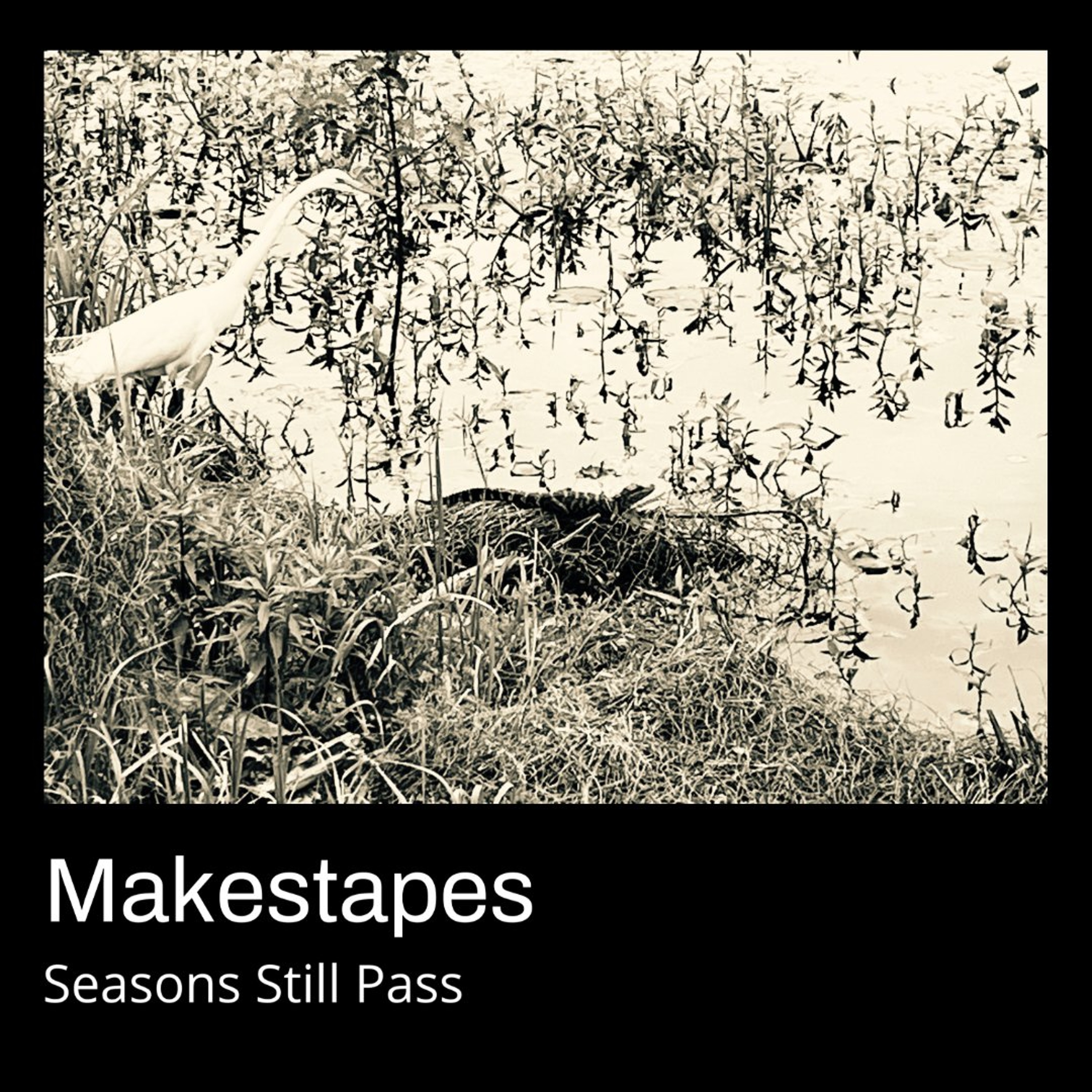 Seasons Still Pass episode artwork