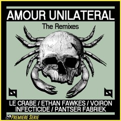 PREMIERE : Le Crabe - Amour Unilateral (Voiron Remix) [Nu Body Records]