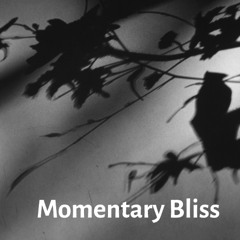 Momentary Bliss