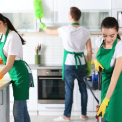 What Makes Professional Bond Cleaning So Special?