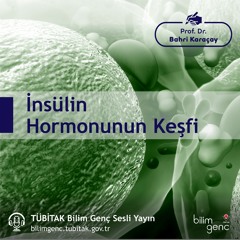 15- İnsülin Hormonunun Keşfi