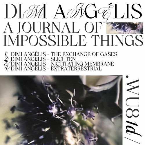 Preview: Dimi Angélis "A Journal Of Impossible Things" WU81d