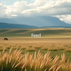 145 - Feed - State One