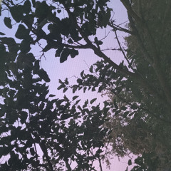 throwawayurcares//handzinmyhair