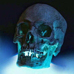 "Distasteful Manner" - MEMPHIS x $uicideboy$ x Freddie Dredd type beat | DARK PHONK TYPE BEAT