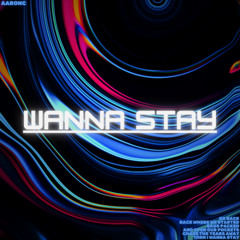 Wanna Stay (DNB)