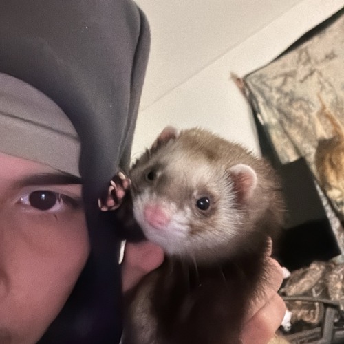 Never miss (pglocks djae1k slojitt)