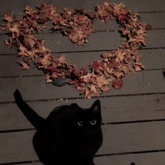 dead leaves