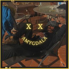 XX - AMYGDALA
