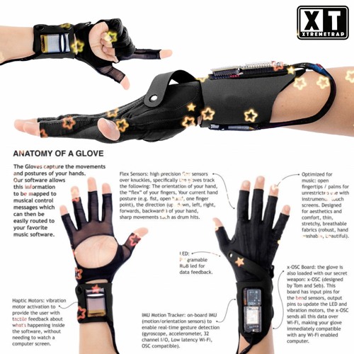 Stream XTREMETRAP Listen to ANATOMY OF A GLOVE playlist online for