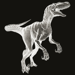 GETORIX - BLACK RAPTOR (TOAG EDIT) FREE DOWNLOAD