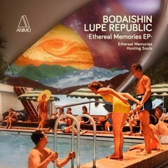PREMIERE: Bodaishin, Lupe Republic - Hunting Souls (Original Mix) [Animo Records]