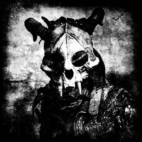 Raider