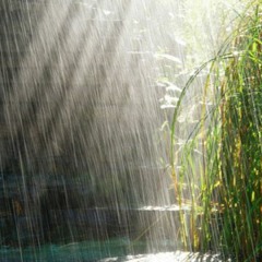 На мотив с Мицкевича