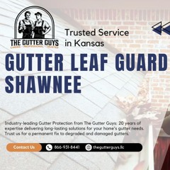 The Gutter Guys - Gutter Leaf Guards Shawnee