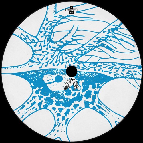 PREMIERE: Fader Cap - Kanizsa [Craigie Knowes]