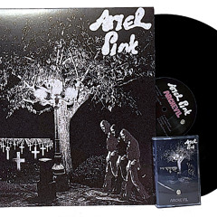 Ariel Pink - Dust (Roky Erickson cover)