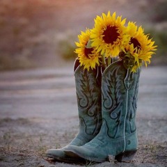 Country Music Instrumental (1) Relaxing Study Chill Calm Focus