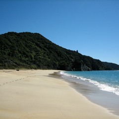 zone 🍵 electronic 🔌