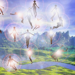 kreay shawn jerk sang