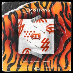 Frizzy The Streetz, Haesen - My Emotions (Feat Devan)