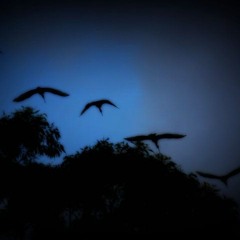 CD Cases (prod. Emani_)