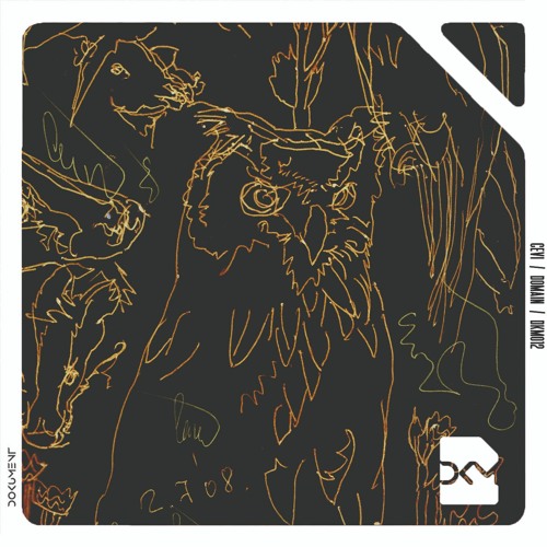 Cevi - Vector Space