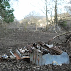 All The Worlds Vices In The Guise Of Her Graces