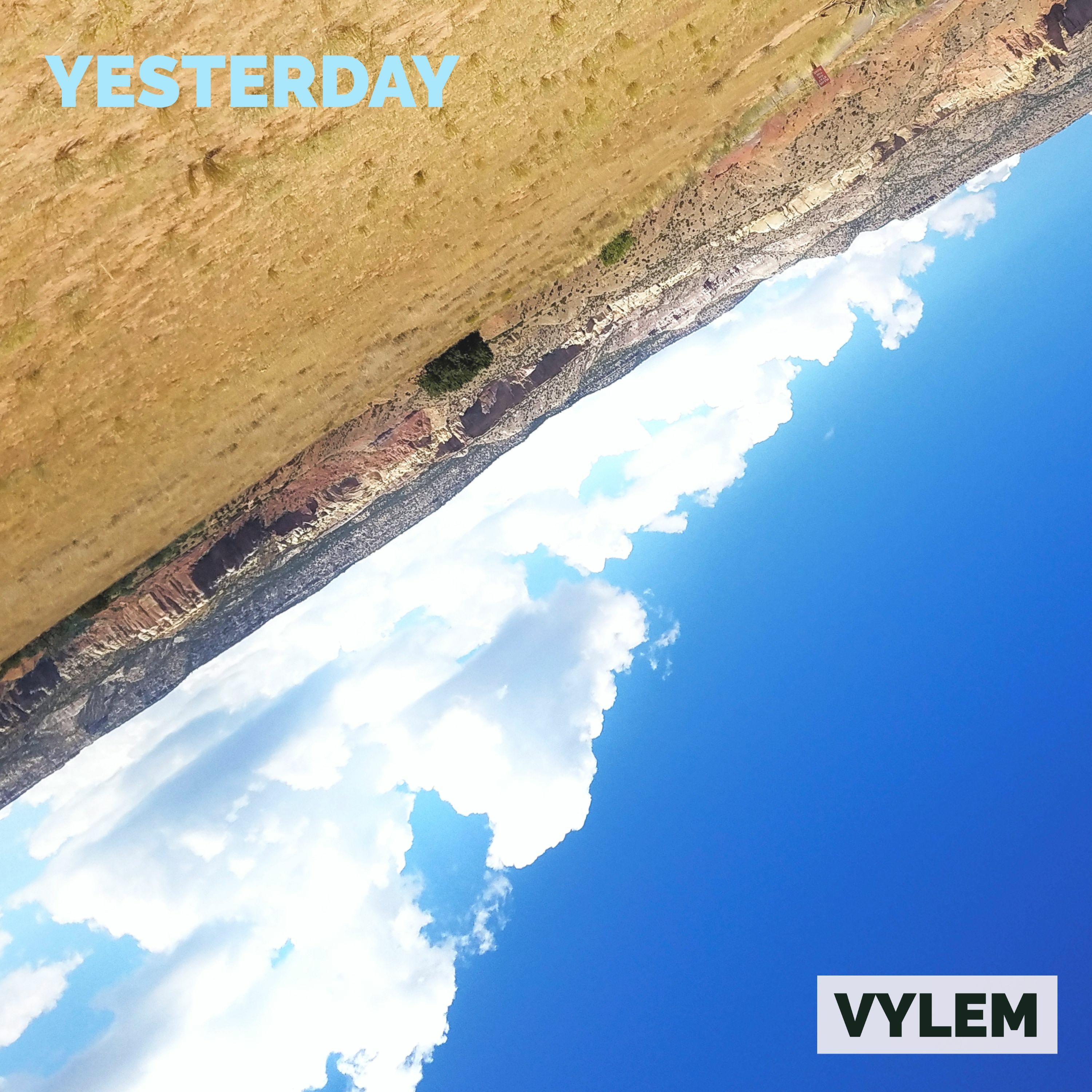 VYLEM
