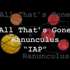 IAP-Hypnotic Techno from the album Ranunculus