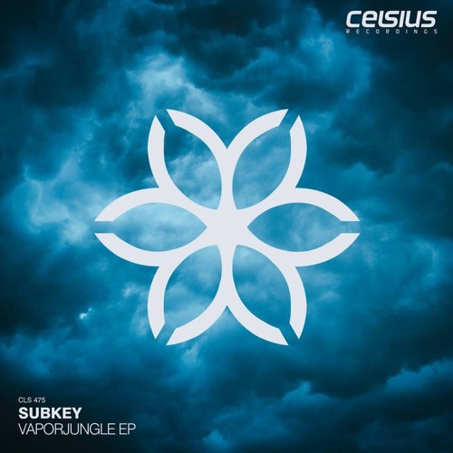 Subkey - Mental Picture