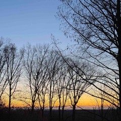 Salboo - [Game of Tones] Mix