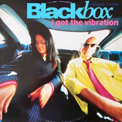 Blackbox - I got the Vibration (Royal Funk Disco Edit)