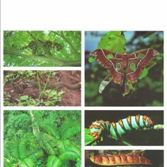 [READ] [KINDLE PDF EBOOK EPUB] Costa Rican Natural History by  Daniel H. Janzen 🖍️