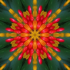 the heaven in a wild flower