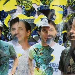75 Years of Folkways: Animal Collective 221023