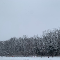 dealers count decks (pro. IOF x New Melle After Dark)