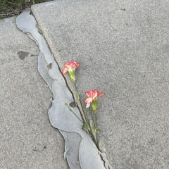 Elijah Yates - Lonely (Quietly Dope) (2022)