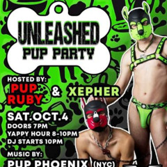 District-Eagle-Live-DJ-Pup-Phoenix-Oct 2025-pt1